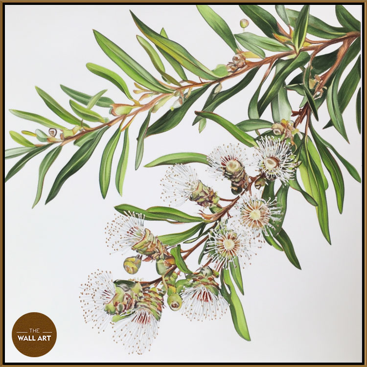 images/products/australian_melaleu_flowers/Australian_Melaleu Flowers_GOLD.jpg